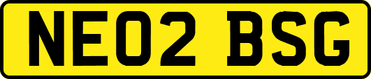 NE02BSG