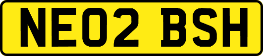 NE02BSH
