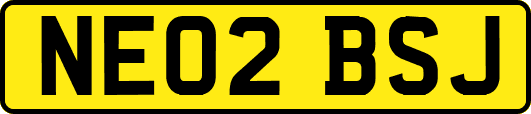 NE02BSJ