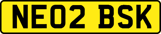 NE02BSK