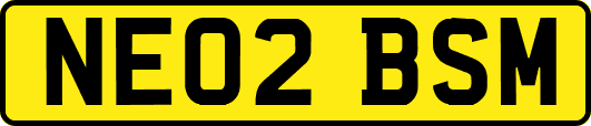 NE02BSM