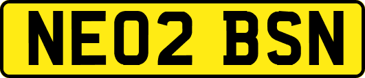NE02BSN