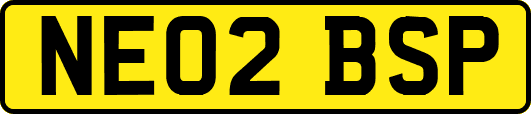 NE02BSP