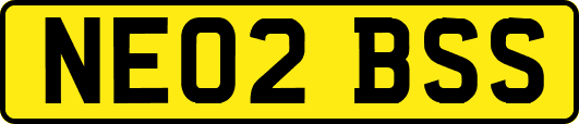NE02BSS