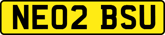 NE02BSU