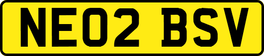 NE02BSV
