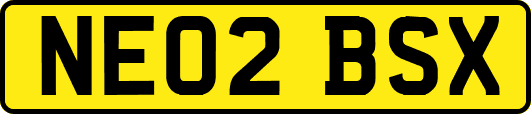 NE02BSX