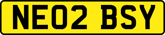 NE02BSY