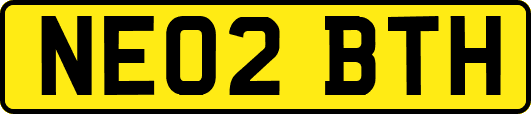 NE02BTH
