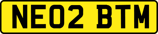 NE02BTM