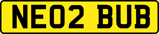 NE02BUB