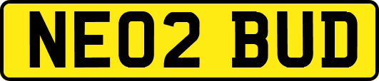 NE02BUD