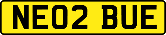NE02BUE