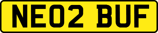 NE02BUF