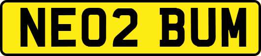 NE02BUM