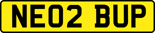 NE02BUP