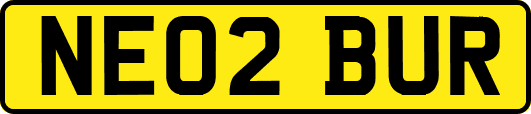 NE02BUR