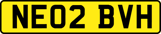 NE02BVH