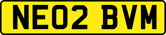 NE02BVM