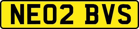 NE02BVS