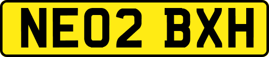 NE02BXH
