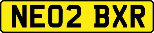 NE02BXR