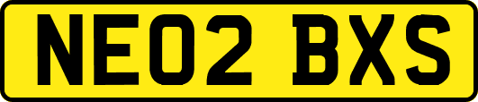NE02BXS