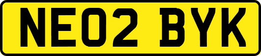 NE02BYK