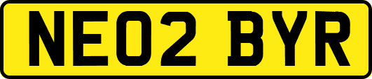 NE02BYR