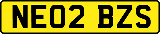 NE02BZS