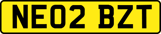 NE02BZT