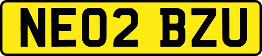 NE02BZU