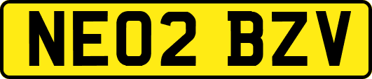 NE02BZV