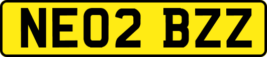 NE02BZZ