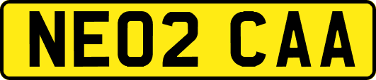 NE02CAA