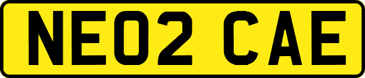 NE02CAE