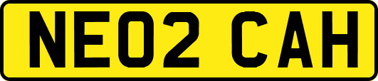 NE02CAH