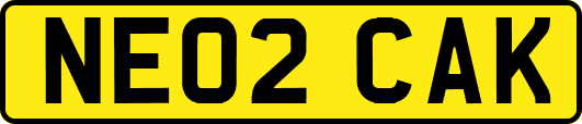 NE02CAK