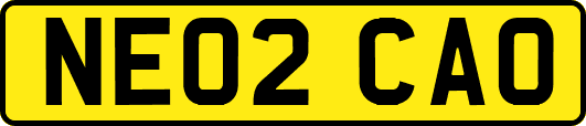 NE02CAO