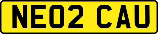 NE02CAU