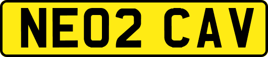 NE02CAV