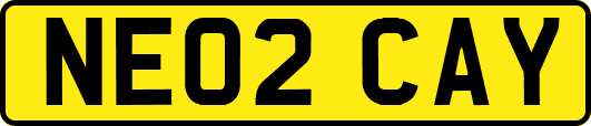 NE02CAY