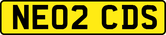 NE02CDS