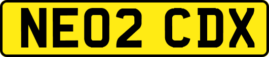 NE02CDX