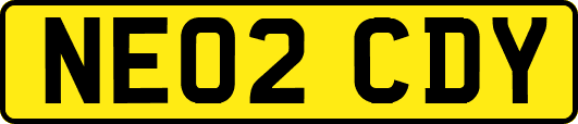 NE02CDY