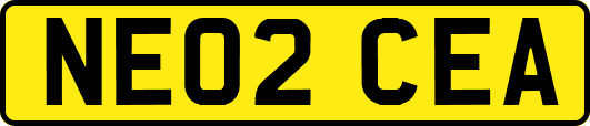 NE02CEA