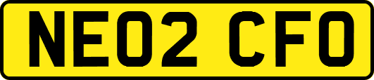 NE02CFO