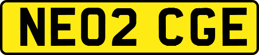 NE02CGE
