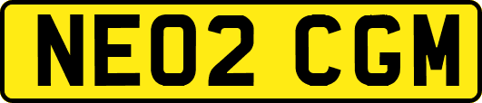 NE02CGM