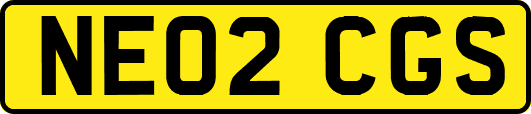 NE02CGS